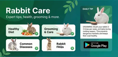 Rabbit Care App showing daily care tracking, expert guides, and bunny profile features